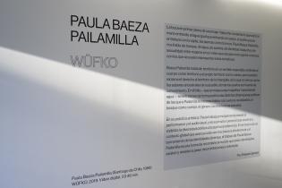 «Wüfko», de la artista chilena Paula Baeza Palomilla en espacio Fabini «Wüfko», de la artista chilena Paula Baeza Palomilla en espacio Fabini