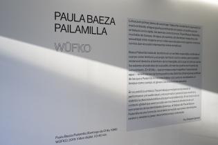 «Wüfko», de la artista chilena Paula Baeza Palomilla en espacio Fabini