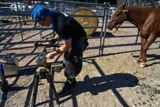 Llegada de tropillas e Inscripciones de los jinetes para la Semana Criolla 2024 Llegada de tropillas e Inscripciones de los jinetes para la Semana Criolla 2024
