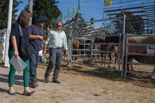 Recorrida con representantes de la Facultad de Veterinaria en la Semana Criolla 2024 