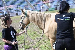 Taller de sensibilización "Hay otra manera de sentir a los caballos" Taller de sensibilización "Hay otra manera de sentir a los caballos"