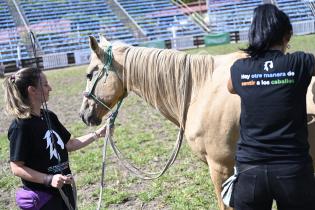 Taller de sensibilización "Hay otra manera de sentir a los caballos"