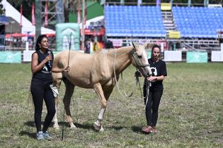 Taller de sensibilización "Hay otra manera de sentir a los caballos" Taller de sensibilización "Hay otra manera de sentir a los caballos"