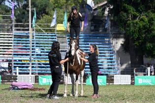 Taller de sensibilización "Hay otra manera de sentir a los caballos" Taller de sensibilización "Hay otra manera de sentir a los caballos"