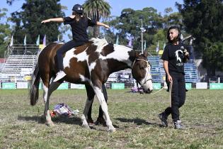Taller de sensibilización "Hay otra manera de sentir a los caballos" Taller de sensibilización "Hay otra manera de sentir a los caballos"