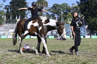 Taller de sensibilización "Hay otra manera de sentir a los caballos"