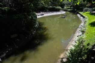 Obras en el Jardín Japonés