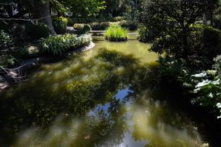 Obras en el Jardín Japonés