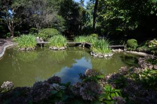 Obras en el Jardín Japonés