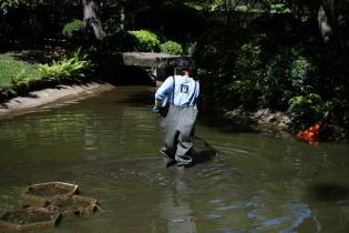 Obras en el Jardín Japonés