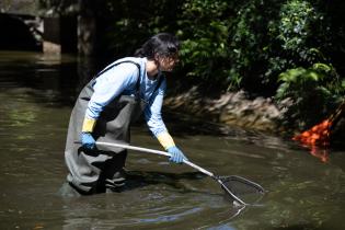 Obras en el Jardín Japonés