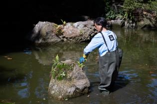 Obras en el Jardín Japonés