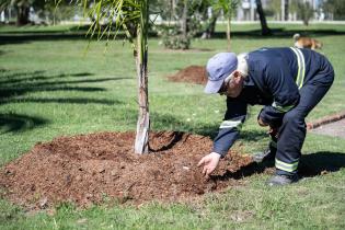 Plantación de árboles en conmemoración del Día de la Nación Charrúa y la Identidad Indígena de Uruguay