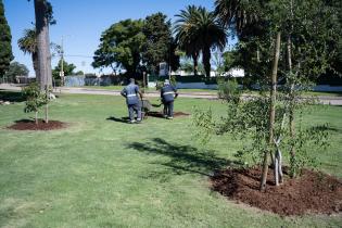 Plantación de árboles en conmemoración del Día de la Nación Charrúa y la Identidad Indígena de Uruguay