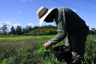 Trabajadores Rurales, dia del trabajador Rural, 30 de abril 2024