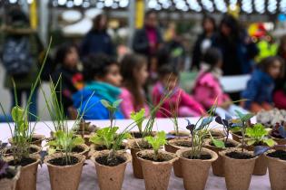 Taller de huerta y semillas de cambio, en el Modelo a Jugar en Espacio Modelo Taller de huerta y semillas de cambio, en el Modelo a Jugar en Espacio Modelo