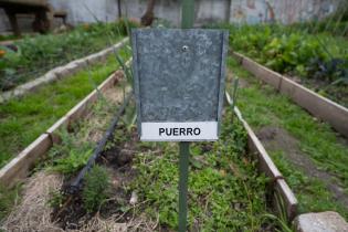 Inauguración del proyecto huertas comunitarias: sembrando por la vida, el trabajo y la cultura