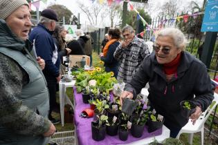 Inauguración del proyecto huertas comunitarias: sembrando por la vida, el trabajo y la cultura Inauguración del proyecto huertas comunitarias: sembrando por la vida, el trabajo y la cultura