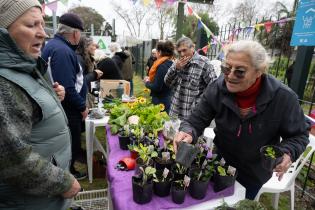 Inauguración del proyecto huertas comunitarias: sembrando por la vida, el trabajo y la cultura