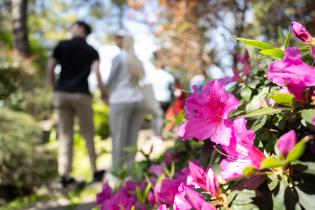 Festival de Japón en el Jardín Japonés