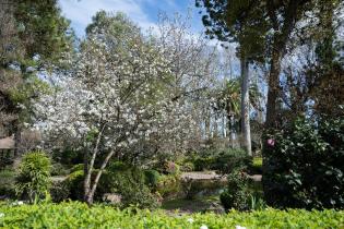 Festival de Japón en el Jardín Japonés