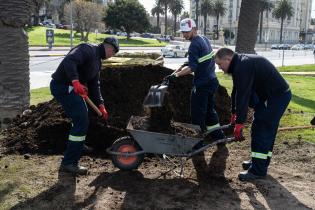 Colocación de césped en pista de patinaje Rambla Parque Rodó