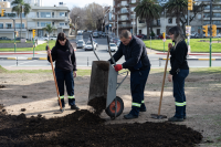 Colocación de césped en pista de patinaje Rambla Parque Rodó