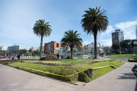 Colocación de césped en pista de patinaje Rambla Parque Rodó