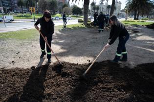 Colocación de césped en pista de patinaje Rambla Parque Rodó