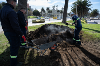 Colocación de césped en pista de patinaje Rambla Parque Rodó