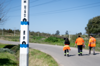 Vecinos y vecinas realizan pintada de columna en el barrio Bajo Valencia