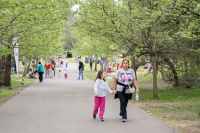 Actividades en el Jardín Botánico por el día de las plazas y los barrios