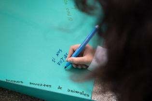Concejo de niñas y niños Concejo de niñas y niños