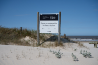 Jornada de plantación y limpieza de la playa Malvín con la participación del Colegio Santo Domingo