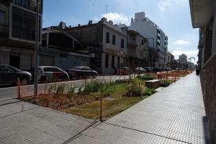 Avance de obras en el Parque Lineal Reconquista Avance de obras en el Parque Lineal Reconquista