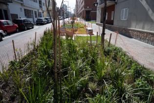 Avance de obras en el Parque Lineal Reconquista