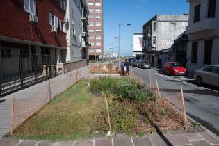 Avance de obras en el Parque Lineal Reconquista Avance de obras en el Parque Lineal Reconquista