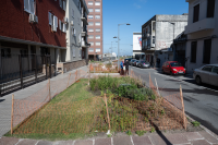 Avance de obras en el Parque Lineal Reconquista