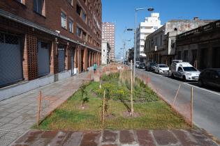 Avance de obras en el Parque Lineal Reconquista Avance de obras en el Parque Lineal Reconquista