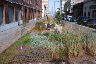 Avance de obras en el Parque Lineal Reconquista