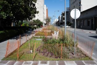 Avance de obras en el Parque Lineal Reconquista