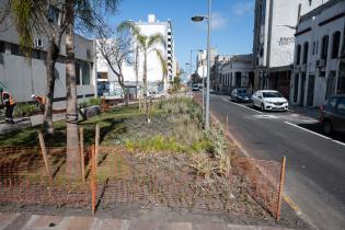 Avance de obras en el Parque Lineal Reconquista Avance de obras en el Parque Lineal Reconquista