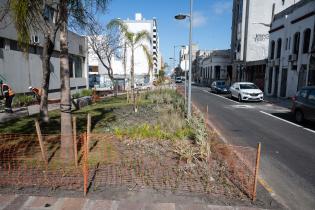 Avance de obras en el Parque Lineal Reconquista