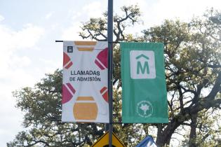  Llamadas de Admisión 2024 en el Prado