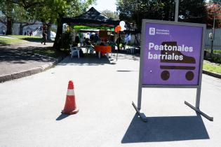 Peatonal barrial en calle Oficial entre 18 de Mayo y 28 de Febrero