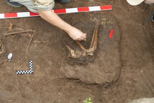Hallazgo de restos arqueológicos en el Caserío de los Negros Hallazgo de restos arqueológicos en el Caserío de los Negros, 23 de Octubre de 2024