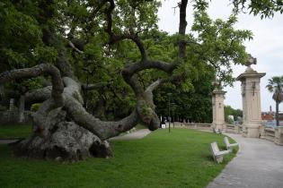 Hallazgo de restos arqueológicos en el Caserío de los Negros,  23 de Octubre de 2024