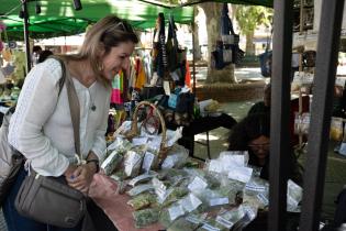 Feria de Economía Social y Solidaria en Plaza de los Treinta y Tres