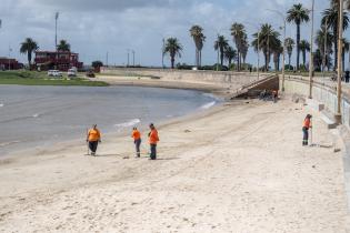 Limpieza en playa pocitos Limpieza en playa pocitos