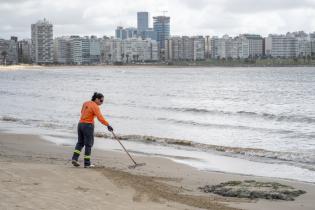 Limpieza en playa pocitos